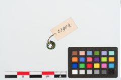 Foto von Bronzeröllchen (NHMW-PRAE-023904)